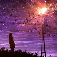 She Meant Everything to Me - Single - Kaiokev & Schäffter