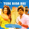 Tere Bina Bhi - Single