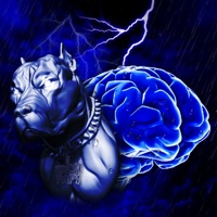 Dawg Storm - Rx Papi