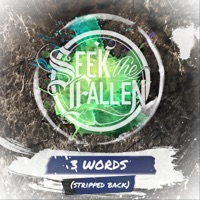 3 Words (Stripped Back) - Single - Seek the Fallen