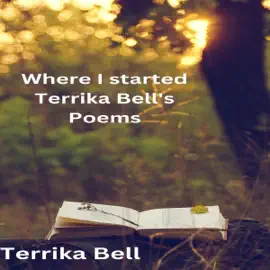 Where I Started Terrika Bell's Poems (Unabridged)
