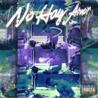 No Hay Amor (feat. Chulapo) - Single - Alus TXG