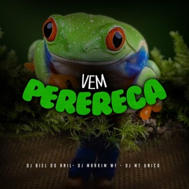 VEM PERERECA RITMADO RJ DJ MT Unico, DJ Markim WF & DJ Biel do Anil
