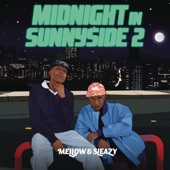 Midnight In Sunnyside 2 artwork