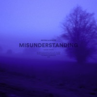 Misunderstanding (Slowed + Reverb) - Single - Entris & shibíre