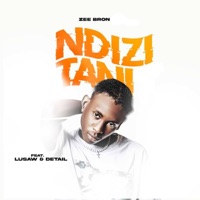Ndizitani (feat. Lusaw & Detail) - Single - Zee Bron