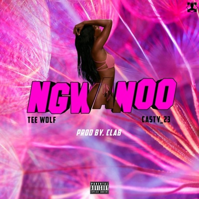 Ngwanoo (feat. Casty_23) - Single