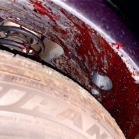 Dead Deer on the Road II - Single - DieFi Digital