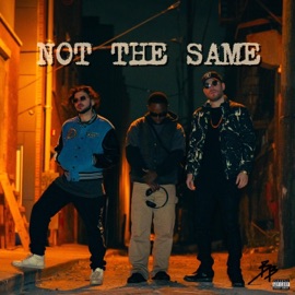 Not the Same (feat. GXLDmine, Hashland & Mike Voss) Basement Bangers