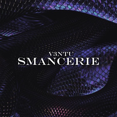 SMANCERIE - Single