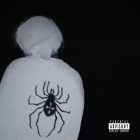 Dont (feat. Causifye) - Single - Amxr