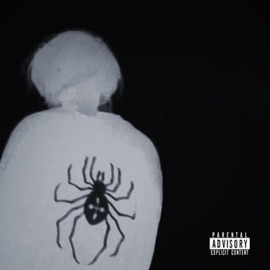 Dont (feat. Causifye) Amxr