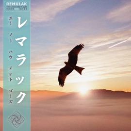 You Know How It Goes Remulak