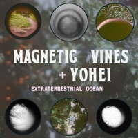Extraterrestrial Ocean (feat. Yohei) - Single - Magnetic Vines