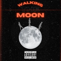 Walking the Moon (feat. Vitale & Nahuelon) - Single - Manukay