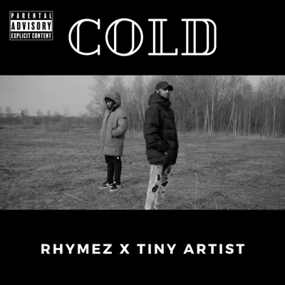 Cold (feat. Tiny Artist) - Single