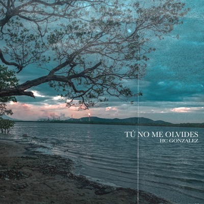 Tú No Me Olvides - Single