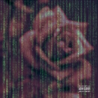 Matrix (feat. Kasper XVX) - Single - Melodic Genius