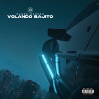 Volando Bajito - Single - Dante Storch