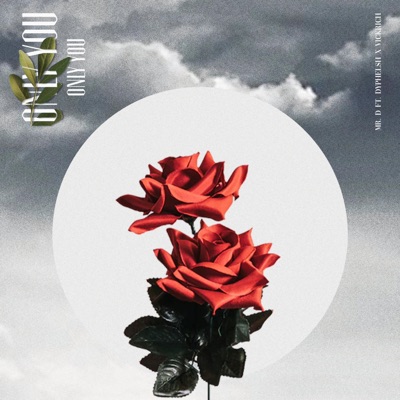 Only You (feat. Dyphlesh & Vickrich) - Single