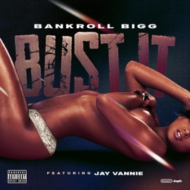 Bust It (feat. Jay Vannie) Bankroll Bigg