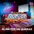 El dia que me quieras