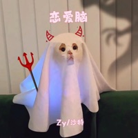 恋爱脑 - Single - Zy & 沙特