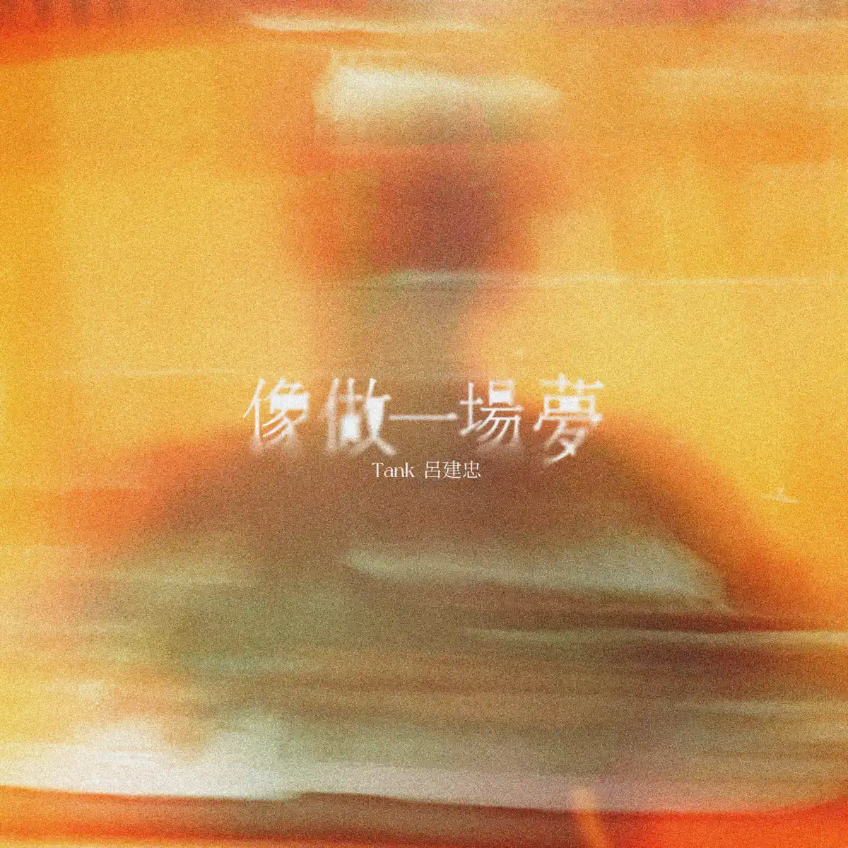 Tank Lu - 像做一場夢 - Single (2024) [iTunes Plus AAC M4A]-新房子