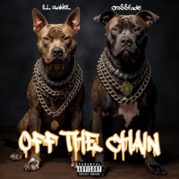 Off the Chain - Single - iLL ZakieL & CRO$$FADE