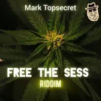 Could Have Been I — Mark Topsecret, Macka B & Top Secret Music