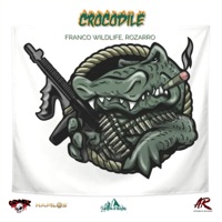 Crocodile - Single - Franco Wildlife & Rozarro
