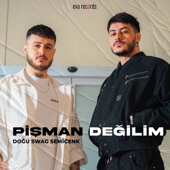 Pişman Değilim song art