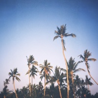 Ayer - Single - digitalluc & Made in M