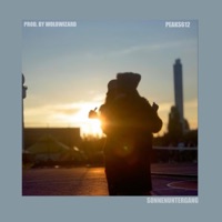 Sonnenuntergang - Single - Peaks & Wolowizard