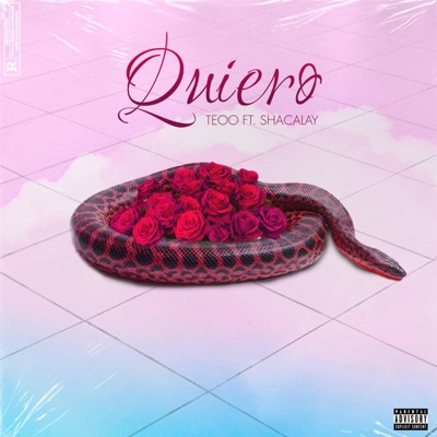 Quiero (feat. Teoo & Shacalay) - Single