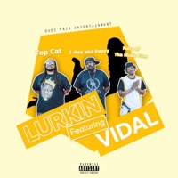 Lurkin (feat. Vidal) - Single - T-Roy Aka Reezy, Top Cat & Fonz of Tha Mobb Fam