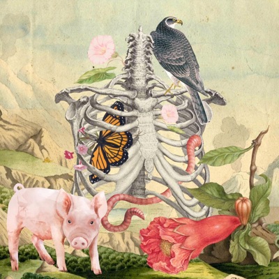 The Beauty All Around - Single