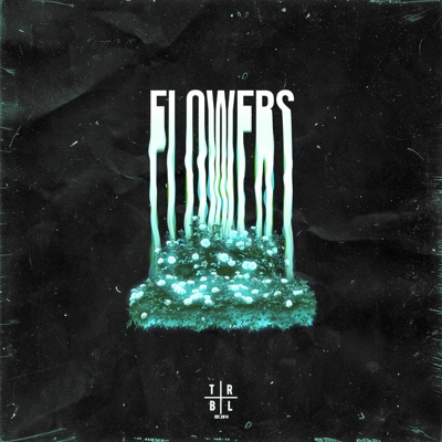Flowers (Sped Up) - Single
