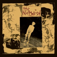 The Notwist (30 Year Anniversary Remaster 2021) - The Notwist