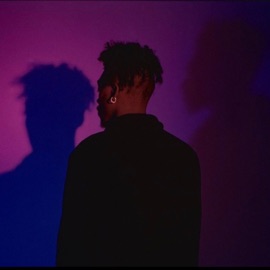 Comes With the Damage Chase Shakur