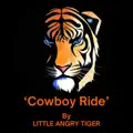 Cowboy Ride