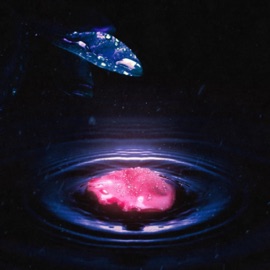 последний лепесток тринадцать карат