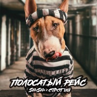 Полосатый рейс - Single - SHuSHa & СТРОГИЙ