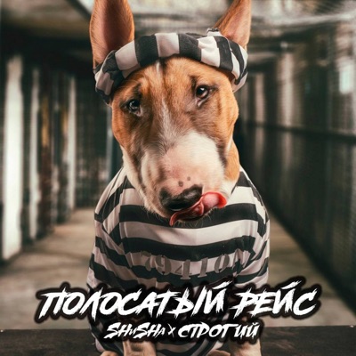 Полосатый рейс - Single