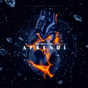 Aprendí (feat. Rik) - Single