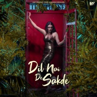 Dil Nai De Sakde - Single - Savina & Nirmaan
