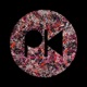 Fukkr Pokkr Single
