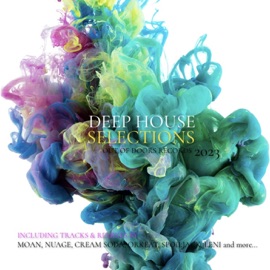 Deep in My Soul MOAN