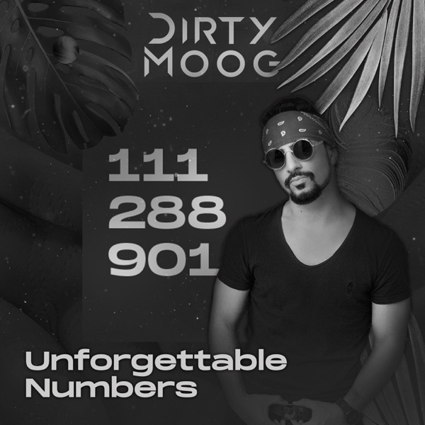 Unforgettable Numbers - Single