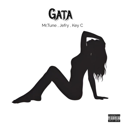 Gata (feat. Jefry & Key C) - Single